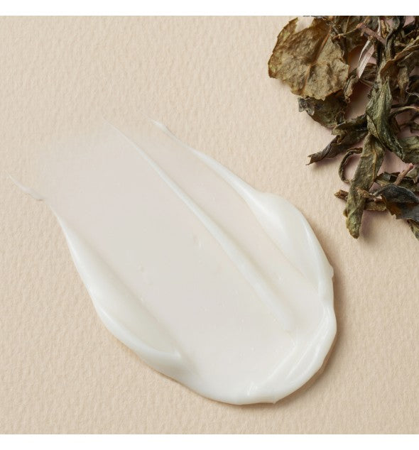 Juice To Cleanse Vinegar Kombucha Cream
