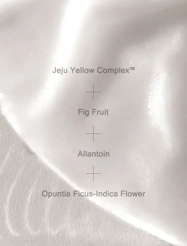 Mizon Joyful Time Mask Jeju Fig