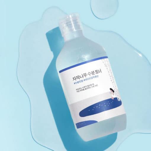 Round Lab Birch Juice Moisturizing Toner